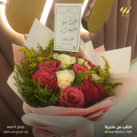 ward plus - الصورة 9