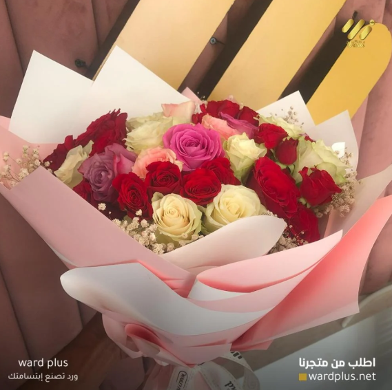 ward plus - الصورة 10