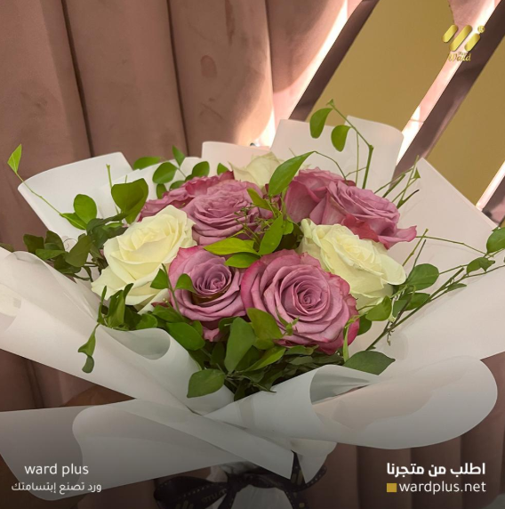 ward plus - الصورة 14