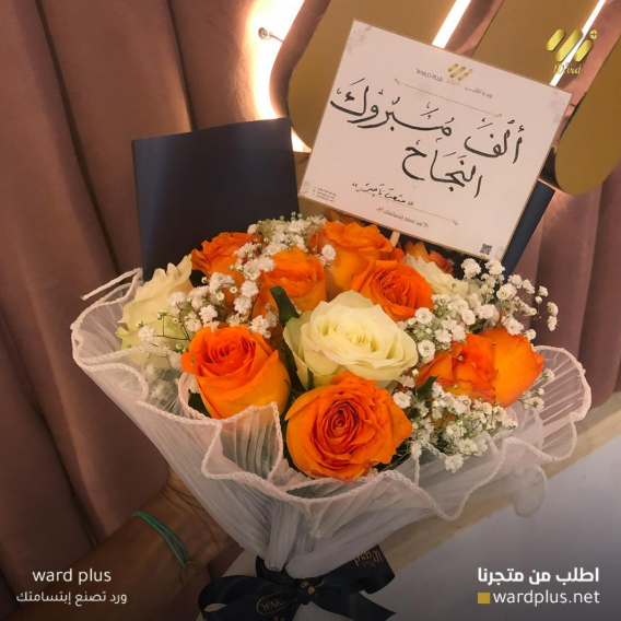 ward plus - الصورة 12