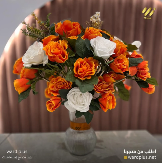 ward plus - الصورة 13