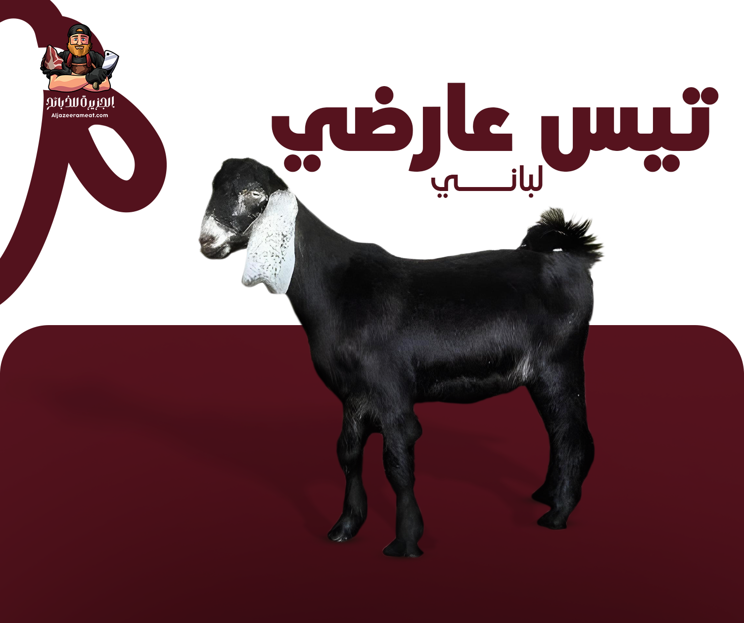 الجزيره للذبائح - الصورة 15