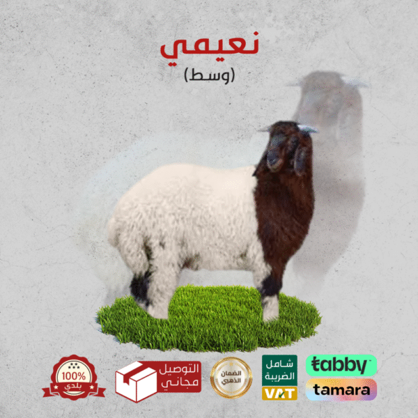 ⁦ابو معاذ للذبائح⁩ - الصورة ⁦12⁩