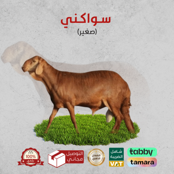 ⁦ابو معاذ للذبائح⁩ - الصورة ⁦10⁩